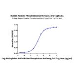 Human Alkaline Phosphatase (Germ type) ALPG Protein , APE-HM203