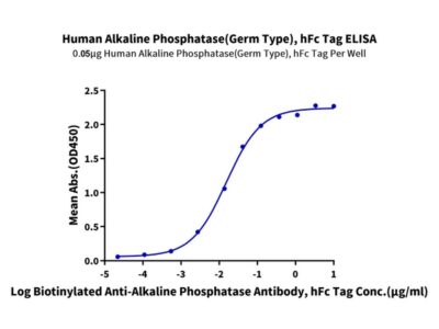 Human Alkaline Phosphatase (Germ type) / ALPG Protein , APE-HM203 Ushelf