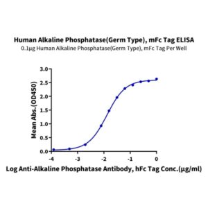 Human Alkaline Phosphatase (Germ type) /ALPG Protein , APE-HM303 Ushelf