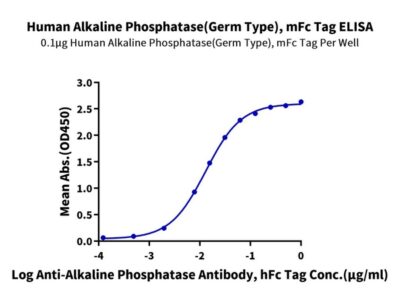 Human Alkaline Phosphatase (Germ type) /ALPG Protein , APE-HM303 Ushelf
