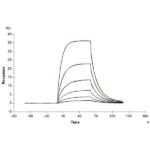 Human Alkaline phosphatase (Intestinal type) ALPI Protein , APE-HM101