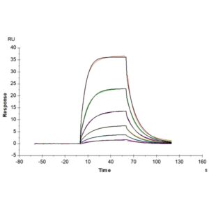 Human Alkaline phosphatase (Intestinal type) / ALPI Protein , APE-HM101 Ushelf