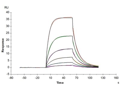 Human Alkaline phosphatase (Intestinal type) / ALPI Protein , APE-HM101 Ushelf