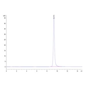 Human Annexin V/ANXA5 Protein , AN5-HE005 Ushelf