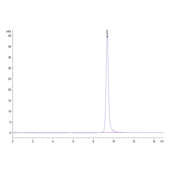 Human Annexin VANXA5 Protein , AN5-HE005 Human Annexin V/ANXA5 Protein , AN5-HE005 Ushelf