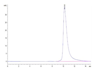 Human B2M/beta 2-Microglobulin Protein , B2M-HM101 Ushelf