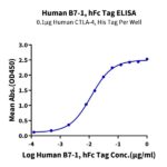 Human B7-1CD80 Protein , B71-HM280