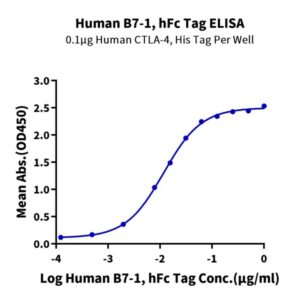 Human B7-1/CD80 Protein , B71-HM280 Ushelf