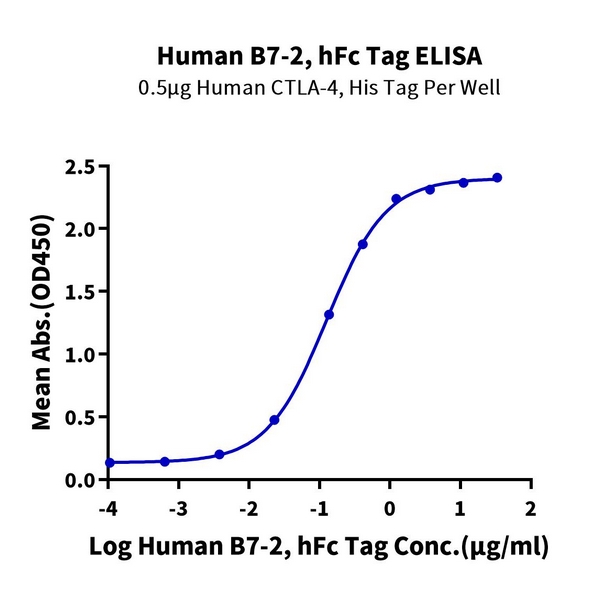 Human B7-2/CD86 Protein , B72-HM286 Ushelf