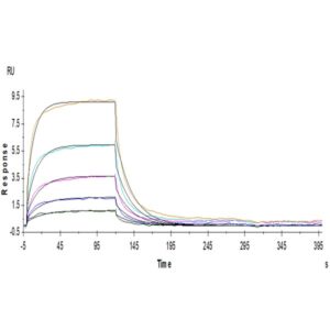 Human B7-H2/ICOSLG Protein , BH7-HM272 Ushelf