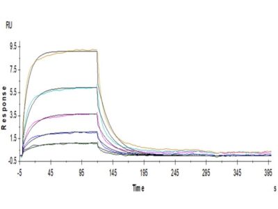Human B7-H2/ICOSLG Protein , BH7-HM272 Ushelf