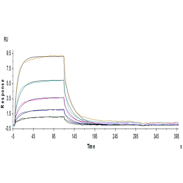 Human B7-H2/ICOSLG Protein , BH7-HM272 Ushelf