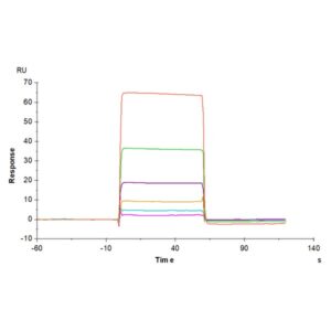 Human B7-H5/Gi24/VISTA Protein , BH7-HM275 Ushelf
