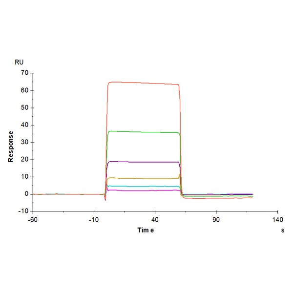 Human B7-H5/Gi24/VISTA Protein , BH7-HM275 Ushelf