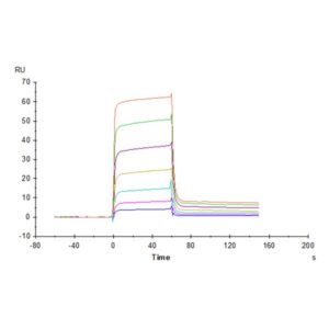 Human B7-H6/NCR3LG1 Protein , BH7-HM276 Ushelf
