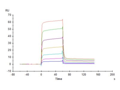 Human B7-H6/NCR3LG1 Protein , BH7-HM276 Ushelf