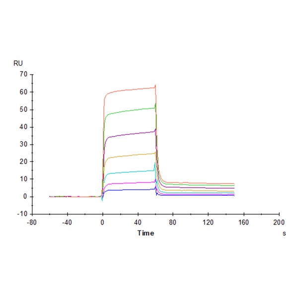 Human B7-H6/NCR3LG1 Protein , BH7-HM276 Ushelf