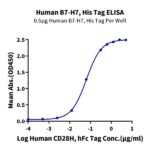 Human B7-H7HHLA2 Protein , BH7-HM177