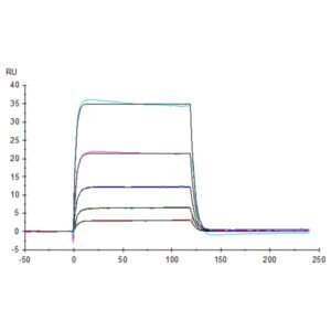 Human B7-H7/HHLA2 Protein , BH7-HM277 Ushelf
