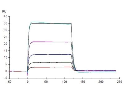 Human B7-H7/HHLA2 Protein , BH7-HM277 Ushelf