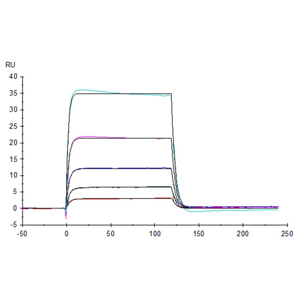Human B7-H7HHLA2 Protein , BH7-HM277 Human B7-H7/HHLA2 Protein , BH7-HM277 Ushelf