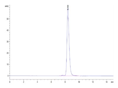 Human BACE-1 Protein , BAE-HM101 Ushelf