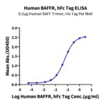 Human BAFFRTNFRSF13C Protein , BAF-HM201