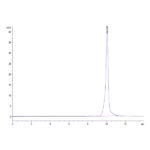Human BAMBI Protein , BAM-HM201