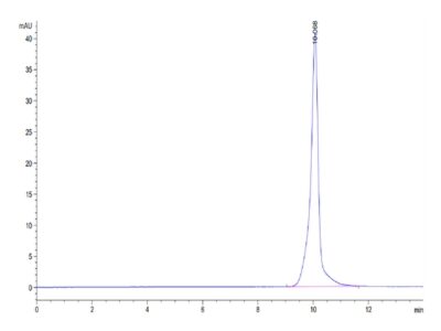 Human BAMBI Protein , BAM-HM201 Ushelf