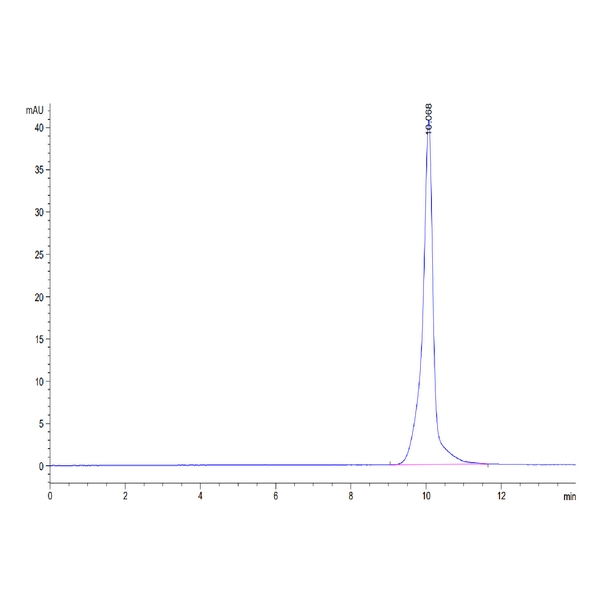 Human BAMBI Protein , BAM-HM201 Human BAMBI Protein , BAM-HM201 Ushelf