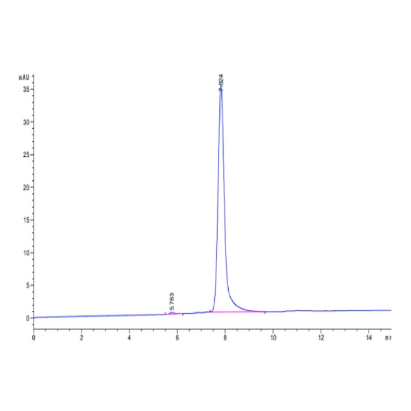 Human BCAM Protein (BCA-HM10M) | Ushelf