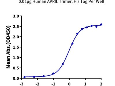 Human BCMA/TNFRSF17 Protein , BCM-HM217 Ushelf