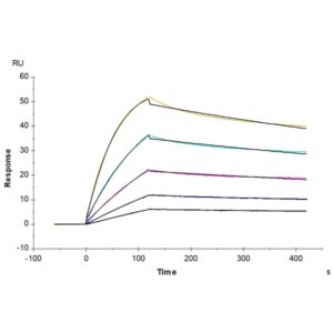 Human BDCA-2 Protein , BCA-HM102 Ushelf