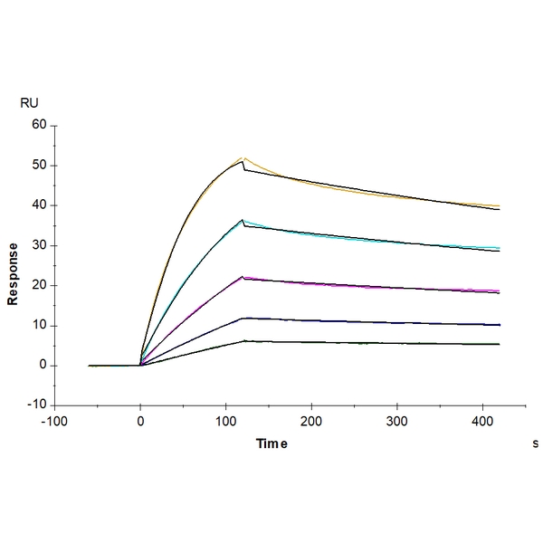 Human BDCA-2 Protein , BCA-HM102 Ushelf