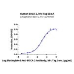 Human BDCA-2 Protein , BCA-HM202