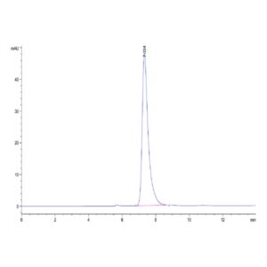 Human CD13/ANPEP Protein , ANP-HM101 Ushelf