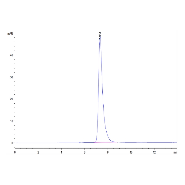 Human CD13ANPEP Protein , ANP-HM101 Human CD13/ANPEP Protein , ANP-HM101 Ushelf