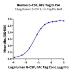 Human G-CSF Protein, CSF-HM201