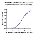 HumanMouseRat BDNF-Protein , BDF-HE001