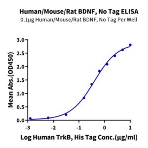 Human/Mouse/Rat BDNF-Protein , BDF-HE001 Ushelf