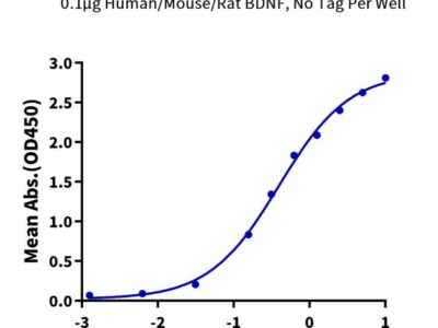 Human/Mouse/Rat BDNF-Protein , BDF-HE001 Ushelf