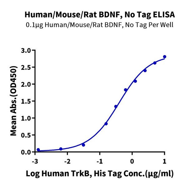 Human/Mouse/Rat BDNF-Protein , BDF-HE001 Ushelf