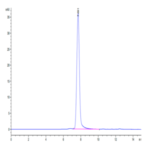 Cynomolgus ICAM-1/CD54 Protein (ICM-CM101)