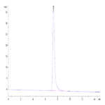 Canine ICAM-1/CD54 Protein (ICM-DM101)