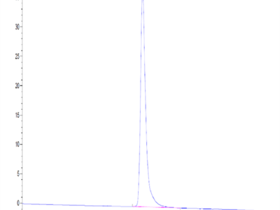 Canine ICAM-1/CD54 Protein (ICM-DM101)