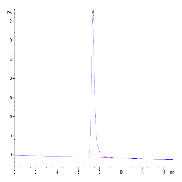 Canine ICAM-1/CD54 Protein (ICM-DM101) Canine ICAM-1/CD54 Protein (ICM-DM101)