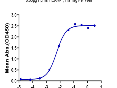 Human ICAM-1/CD54 Protein (ICM-HM101)