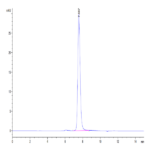 Human ICAM-1/CD54 Protein (ICM-HM101)