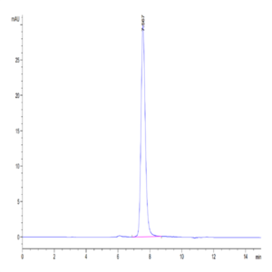 Human ICAM-1/CD54 Protein (ICM-HM101)