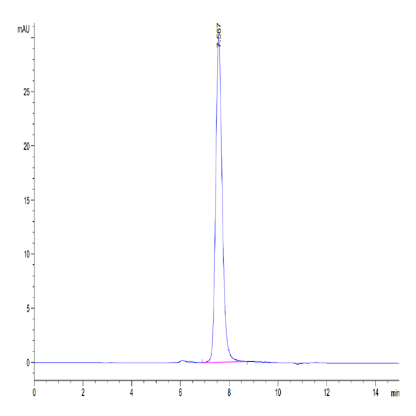 Human ICAM-1/CD54 Protein (ICM-HM101)